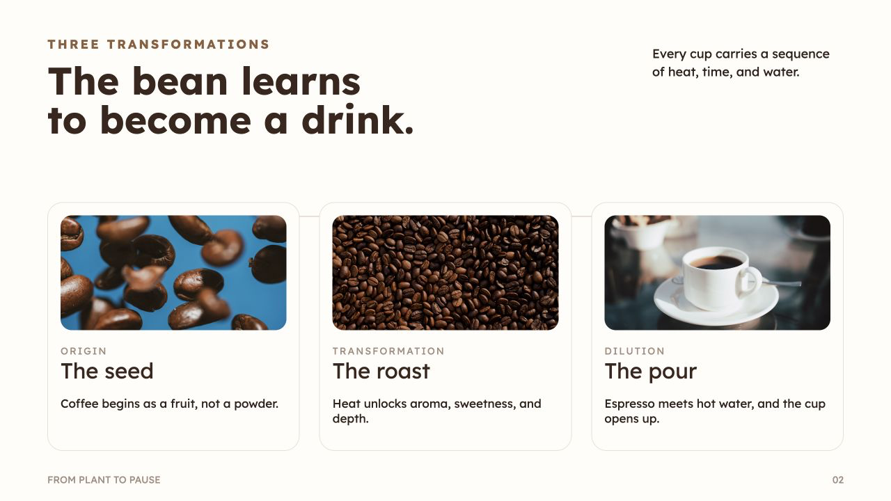 From Bean to Americano, slide 2: The bean learns to become a drink.